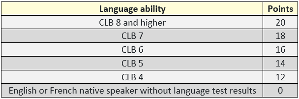 language_sas.PNG